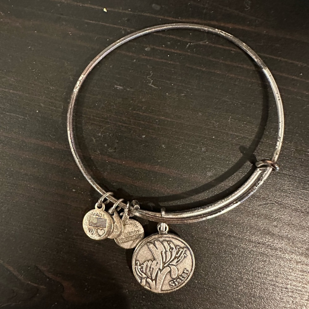 Alex and Ani Silver Sister Charm Bangle